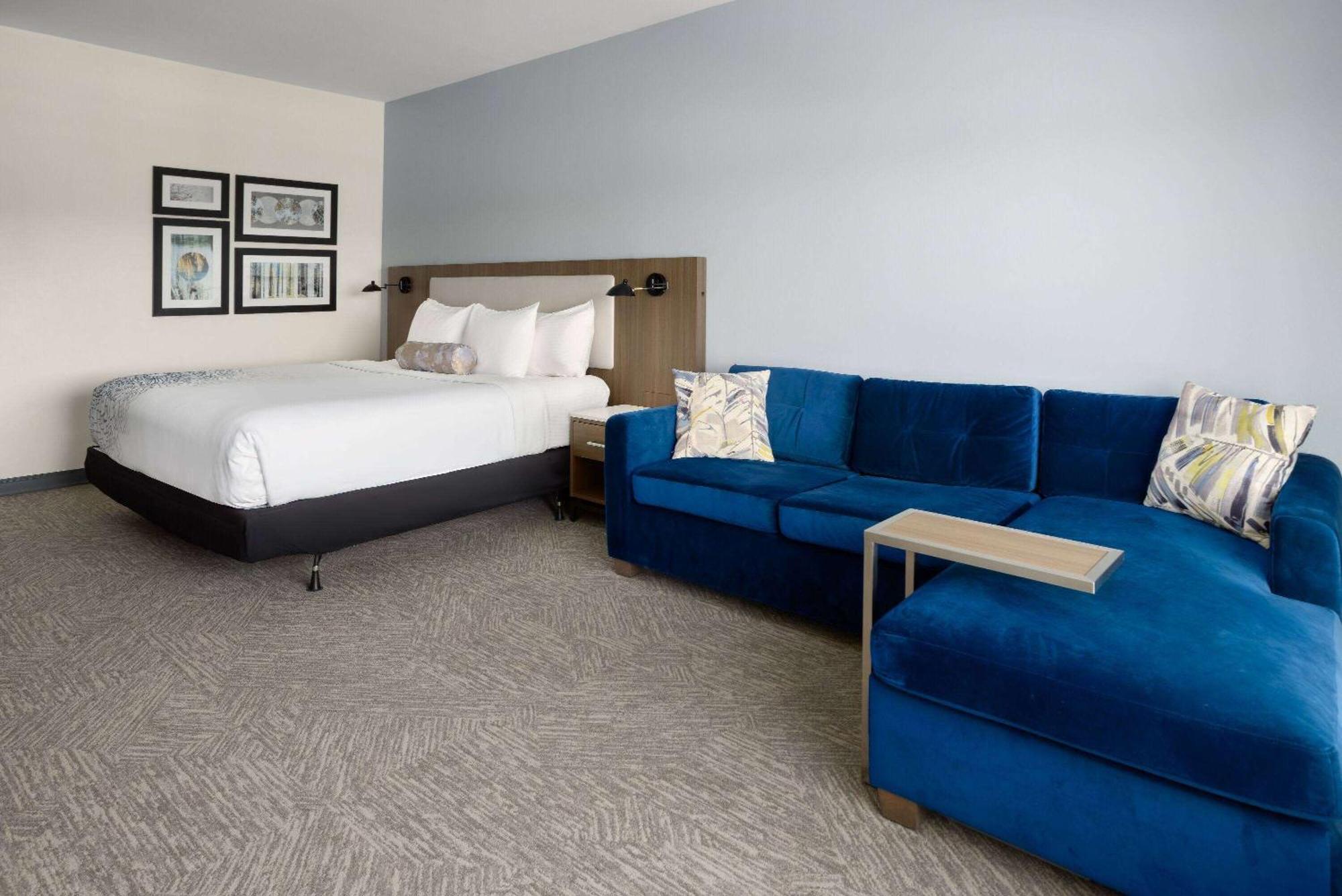 La Quinta Inn & Suites By Wyndham לוקוסט גרוב מראה חיצוני תמונה